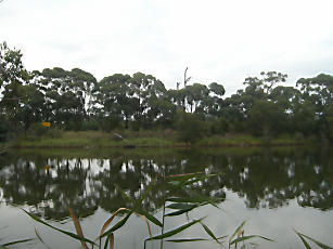 Snowy River