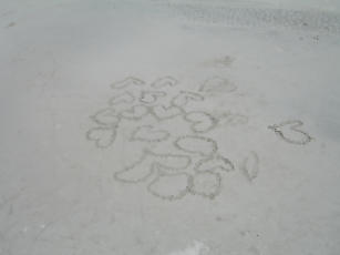 EmuBay