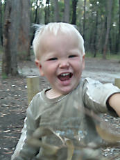 Grampians