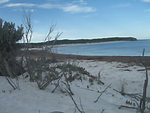 KanguruhIsland