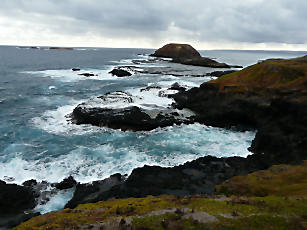 PhillipIsland