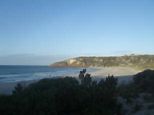 SmellingBeach