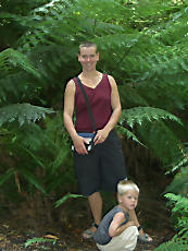 TreeTopWalk