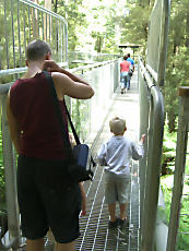 TreeTopWalk