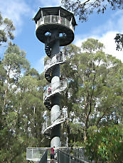 TreeTopWalk