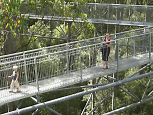 TreeTopWalk